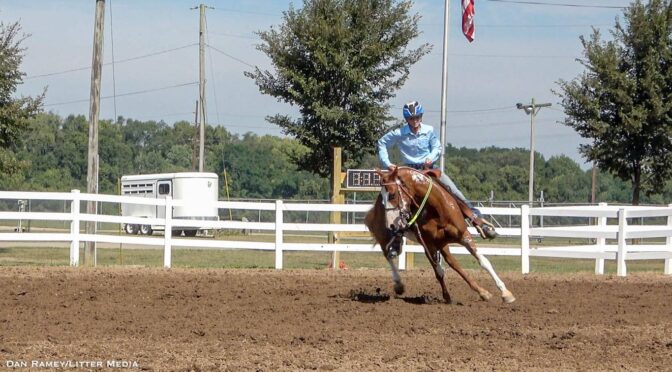 Ross County Fair: Poultry & Horse Show Results