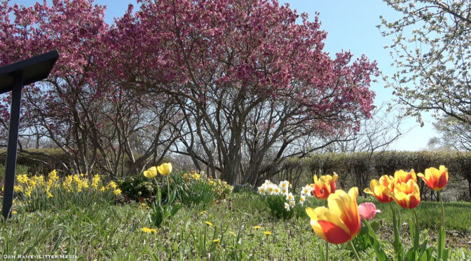 Adena Mansion & Garden Heirloom Plant Sale