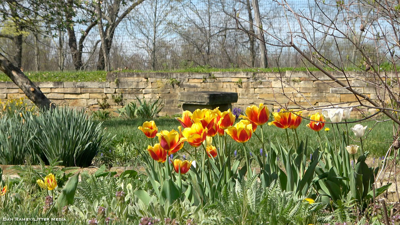 Planting Worthington's Gardens - Litter MediaLitter Media