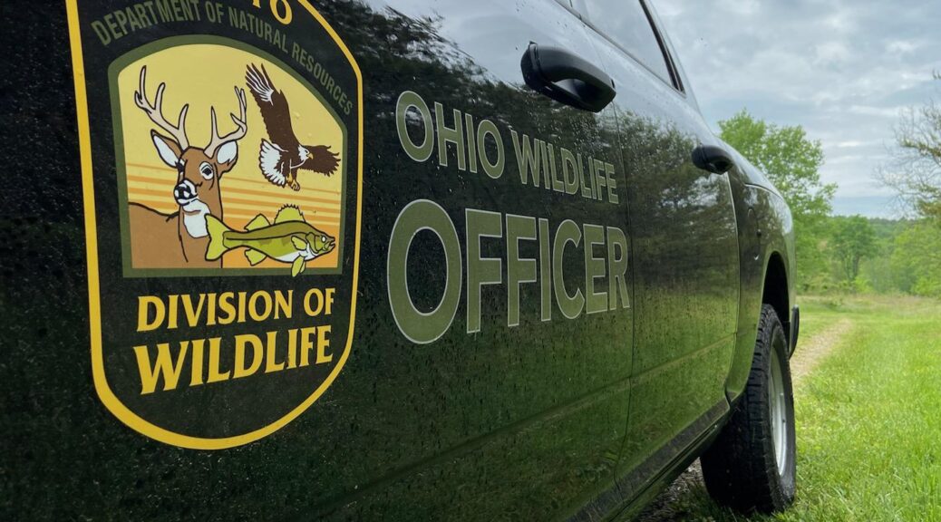 ODNR Proposes Major Reduction Wild Turkey Hunting Season