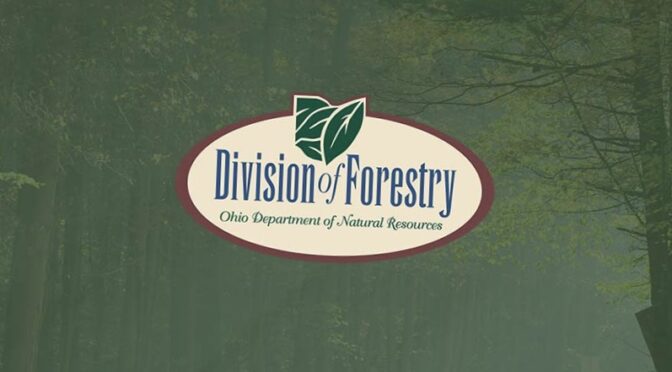 State Forestry Open Houses Planned for Late August