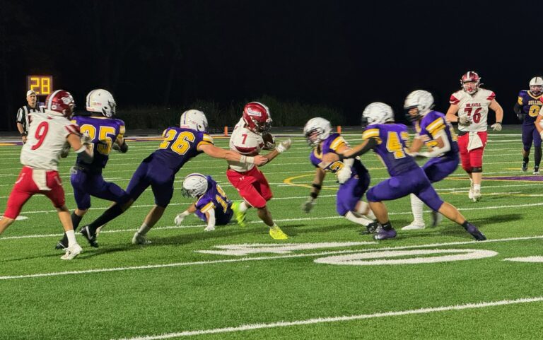 Logan Elm's Cameron Drake runs against Bloom Carroll- Litter Media/Dan Ramey