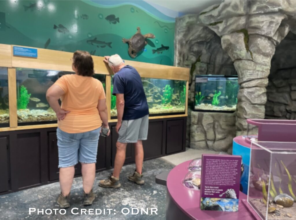 The Clifton Gorge Exploration Center includes different exhibits for visitors to learn about aquatic life.