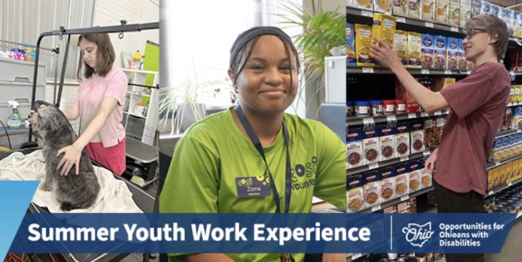 10-20 Summer Youth Work for Disabled