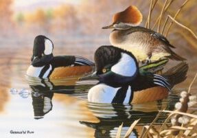 Gerald Putt’s painting of the waterfowl