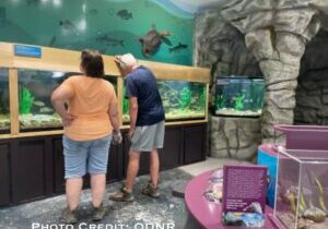 The Clifton Gorge Exploration Center includes different exhibits for visitors to learn about aquatic life.