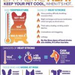 06-23 Humane Society Heat Advisory