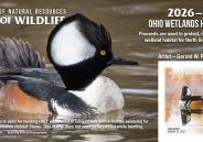 Submissions are accepted for the Ohio Wetlands Habitat Stamp art competition until Feb. 1, 2026.