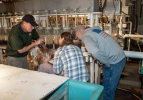 Visit an Ohio state fish hatchery this spring to learn more about fish production.