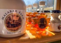 March events invite families to experience a timeless Ohio tradition. Photo courtesy ODNR