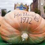 Winning Pumpkin