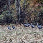 (Photo: Dan Ramey/Litter Media)