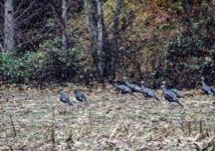 (Photo: Dan Ramey/Litter Media)