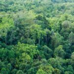 Photo from Word Press