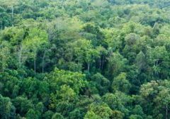 Photo from Word Press